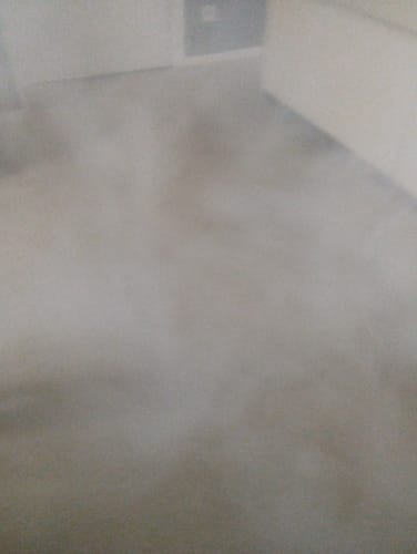 Image #1 de Aur¨¦lie