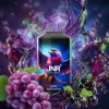 JNR Falcon 16K - Grape Blackcurrant