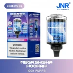 Blueberry Ice