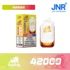 JNR Lion King 42K - Hawaii