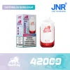 JNR Lion King 42K - Watermelon Bubblegum